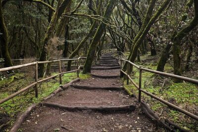 La Gomera Island Tour