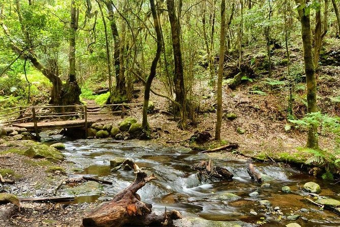 La Gomera Island Tour - Guide Style and Group Experience
