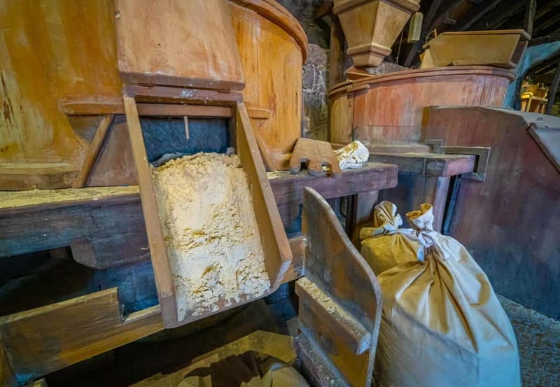 La Orotava:Casa de los Balcones & Molino del Hoyo Gofio Mill - Points to consider before you book