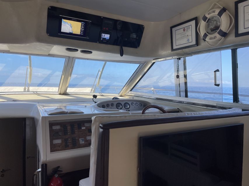 Las Galletas: Private Luxury Yacht Cruise with Lunch - Whale watching with room for patience