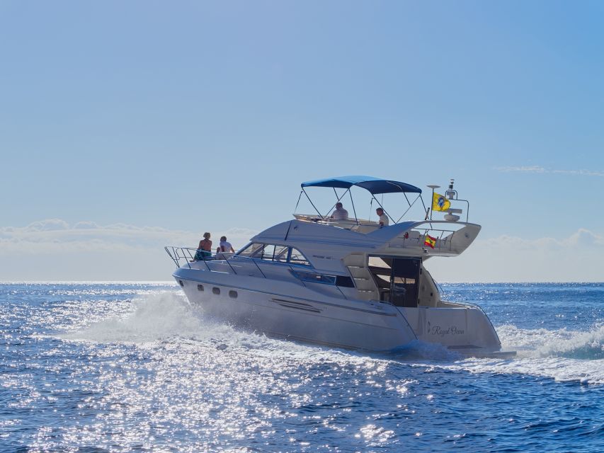 Las Galletas: Private Luxury Yacht Cruise with Lunch - Practical limits and comfort concerns
