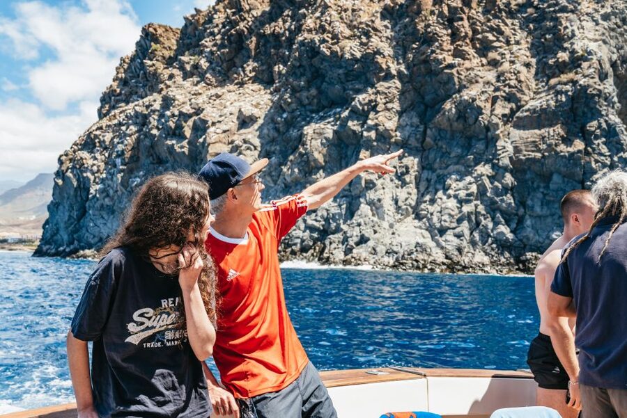 Las Galletas: Whale & Dolphin Tour with Local Skipper - Rough water and the seasickness question