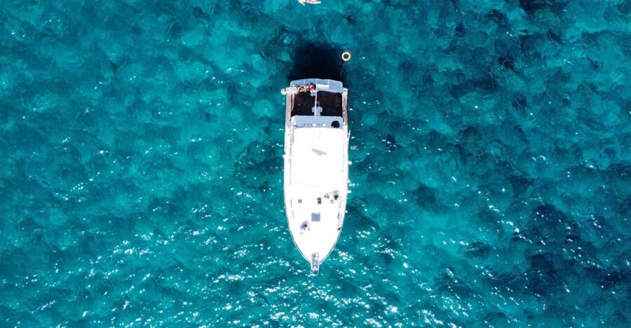 Las Galletas: Whale & Dolphin Tour with Local Skipper - Anchoring for a swim and snorkel