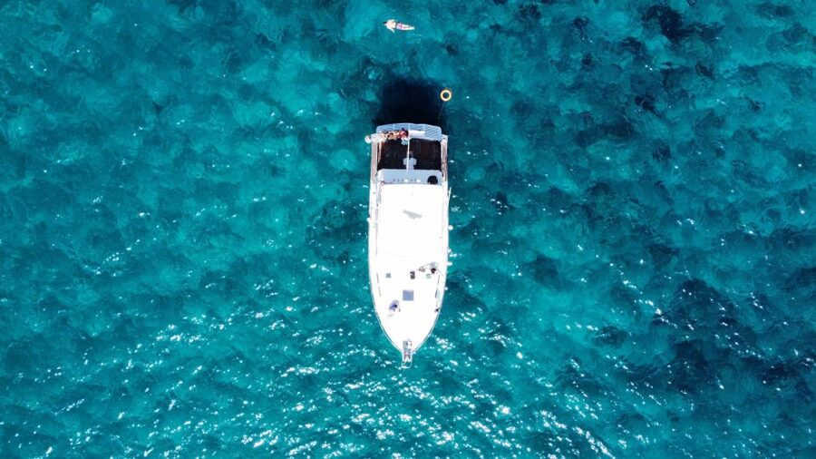 Las Galletas: Whale & Dolphin Tour with Local Skipper - Homemade food served on the yacht