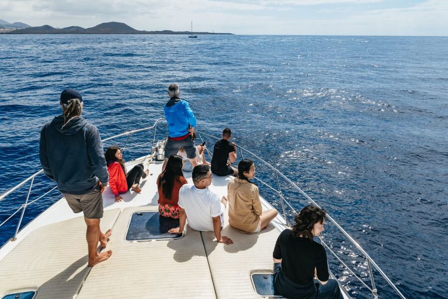Las Galletas: Whale & Dolphin Tour with Local Skipper - Punta de Rasca and the ride back