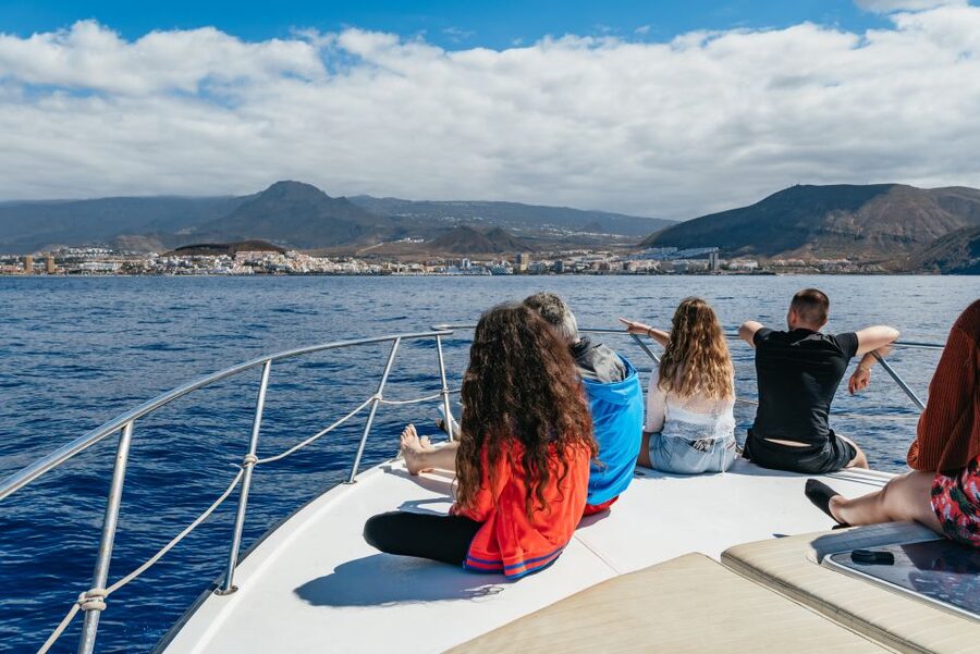 Las Galletas: Whale & Dolphin Tour with Local Skipper - Is $69 a fair price?