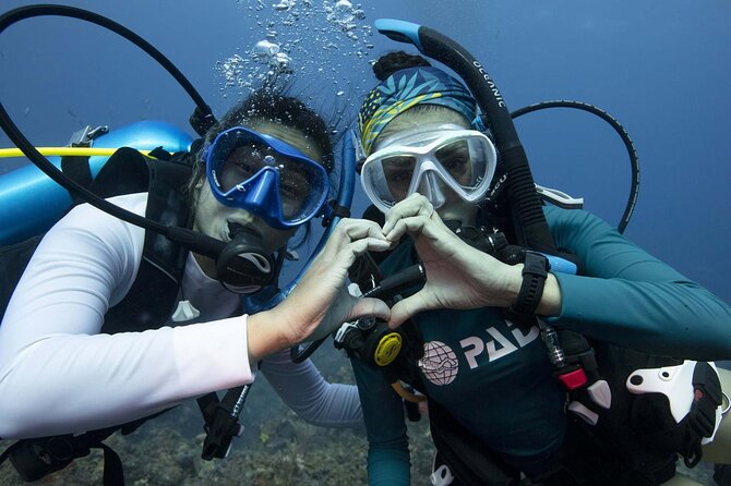 Learn Scuba Diving in Tenerife with Photos Included - Pickup, timing, and the Los Cristianos meeting point