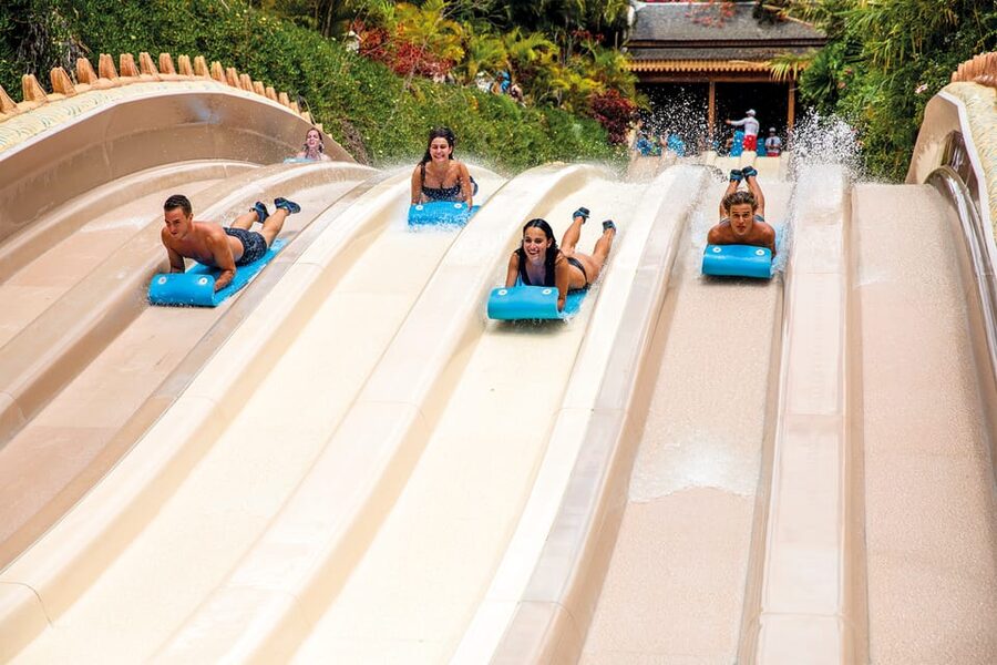 Loro Parque and Siam Park Combined Admission Tickets - Who gets the best value?