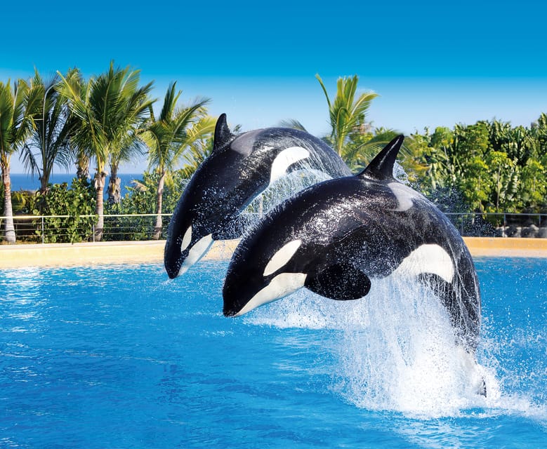 Loro Parque and Siam Park Combined Admission Tickets - Orcas, sea lions, dolphins, and parrots