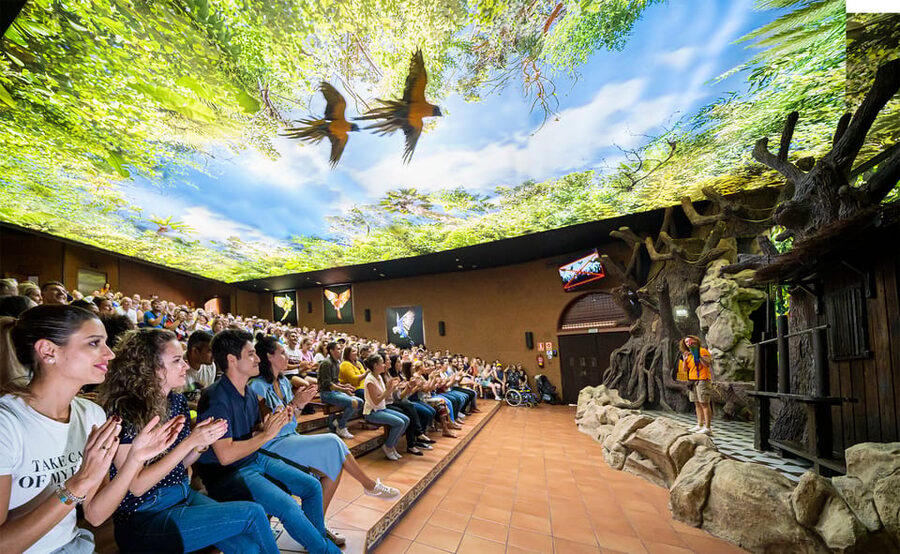 Loro Parque and Siam Park Combined Admission Tickets - Loro Parque: a full day of animals and shows