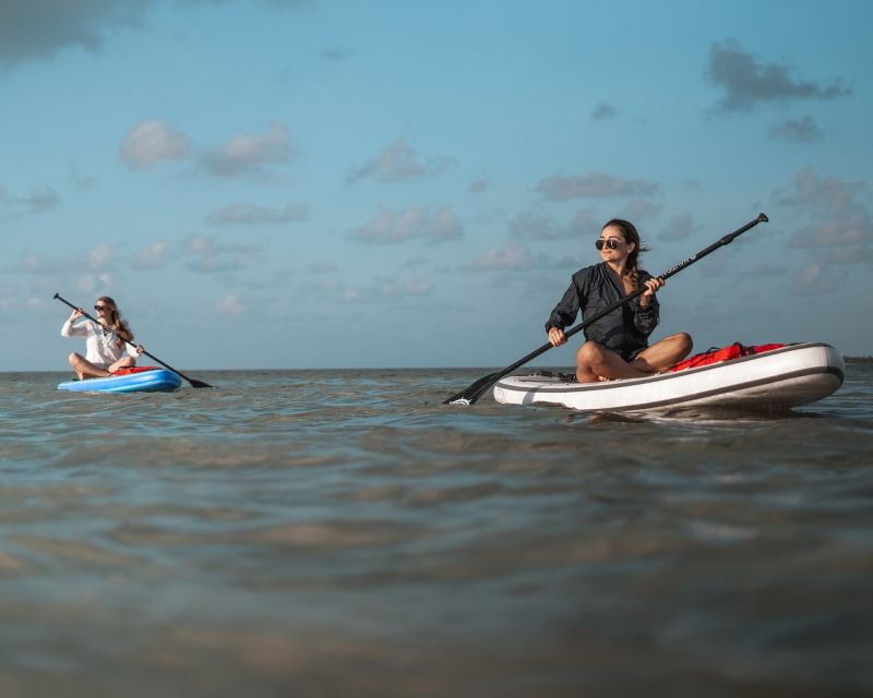 Los Cristianos : 1 Hour of Paddle surf Rental - My verdict on Adventoure Kayak