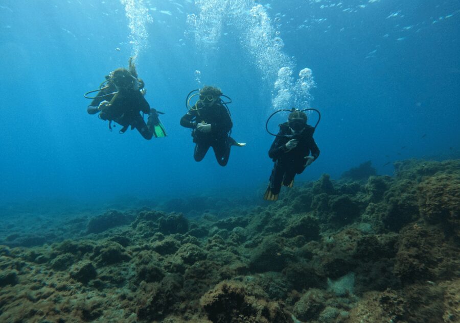 Los Cristianos: Basic Diver Course - What learning underwater communication feels like