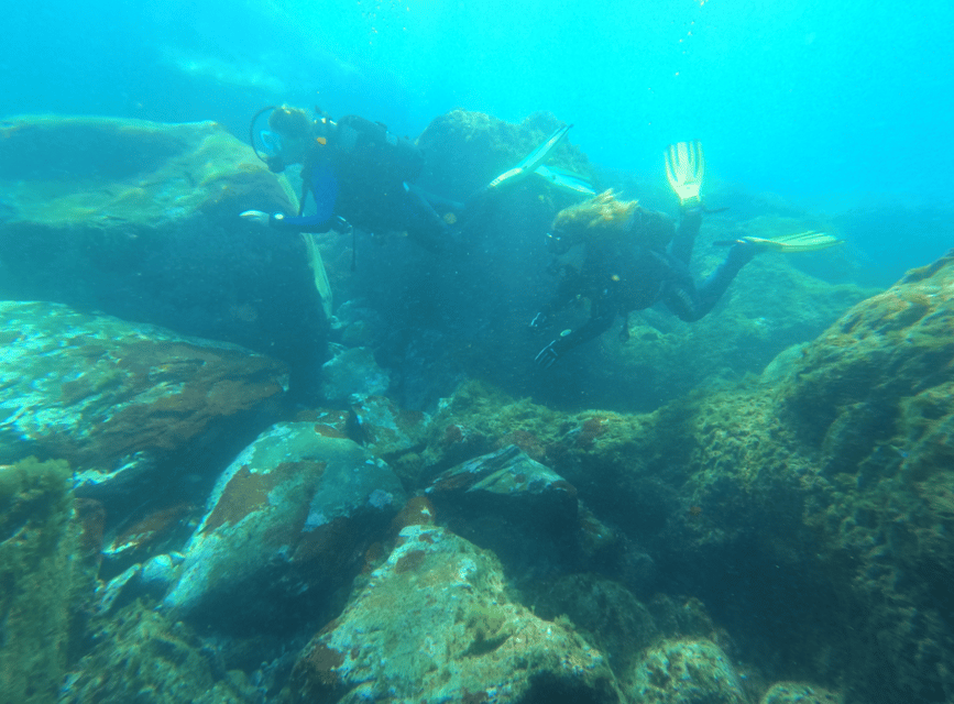 Los Cristianos: Basic Diver Course - A realistic five-hour schedule