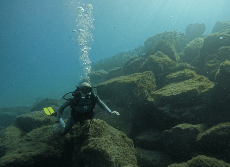 Los Cristianos: Basic Diver Course - Who should book this course