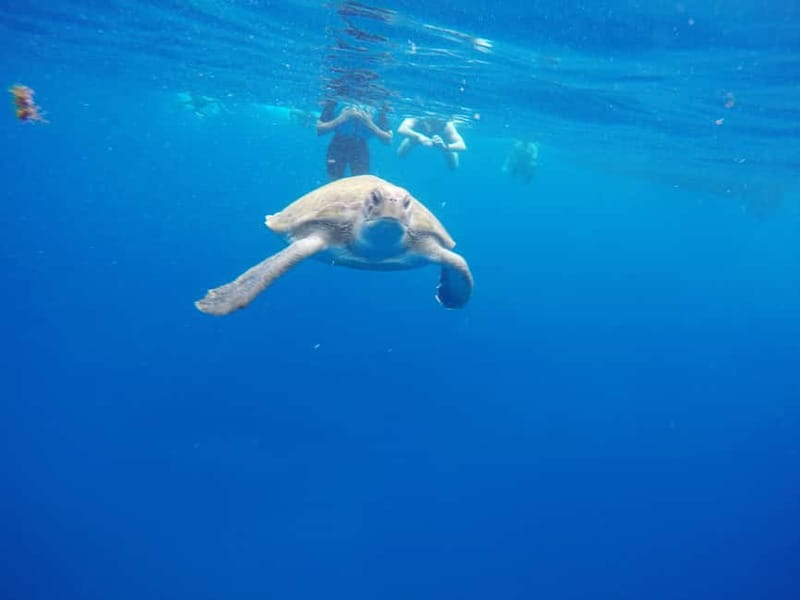Los Cristianos: Kayak and Snorkel with Turtles and Photos - Entering a small sea cave when conditions allow