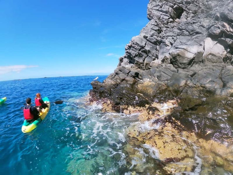 Los Cristianos: Kayak and Snorkel with Turtles and Photos - Photos and videos without carrying your own camera