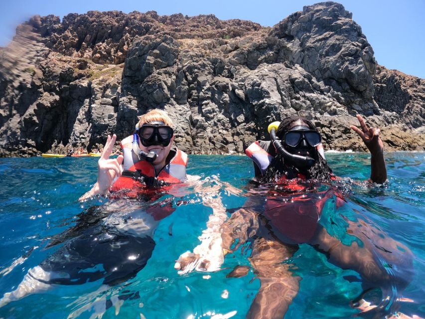 Los Cristianos: Kayaking and Snorkeling with Marine Wildlife - How hard is the kayaking?