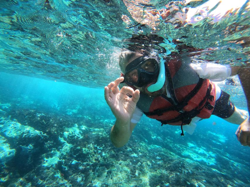 Los Cristianos: Kayaking and Snorkeling with Marine Wildlife - Transport from southern Tenerife
