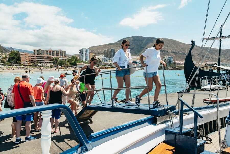 Los Cristianos Respectful No-Chase Whale and Dolphin Safari - Why the no-chase rule matters off Tenerife
