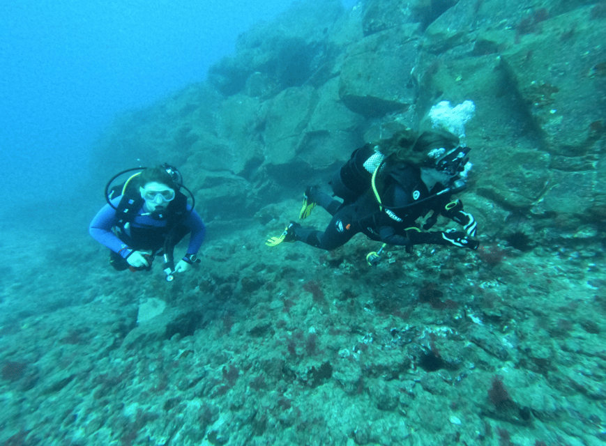 Los Cristianos: Try Dive for beginners - Book It or Skip It?