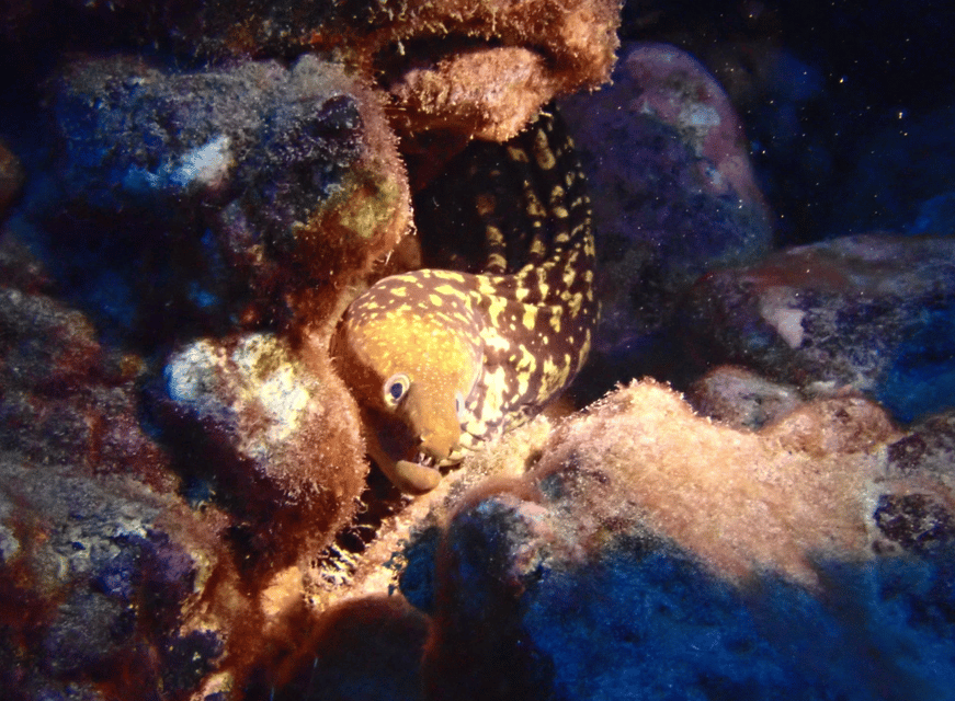Los Cristianos: Try Dive for beginners - FAQ