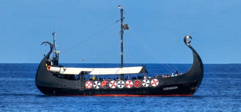 Los Cristianos: Viking Cruise Whales & Dolphins Watching - Crew Care and Comfort at Sea