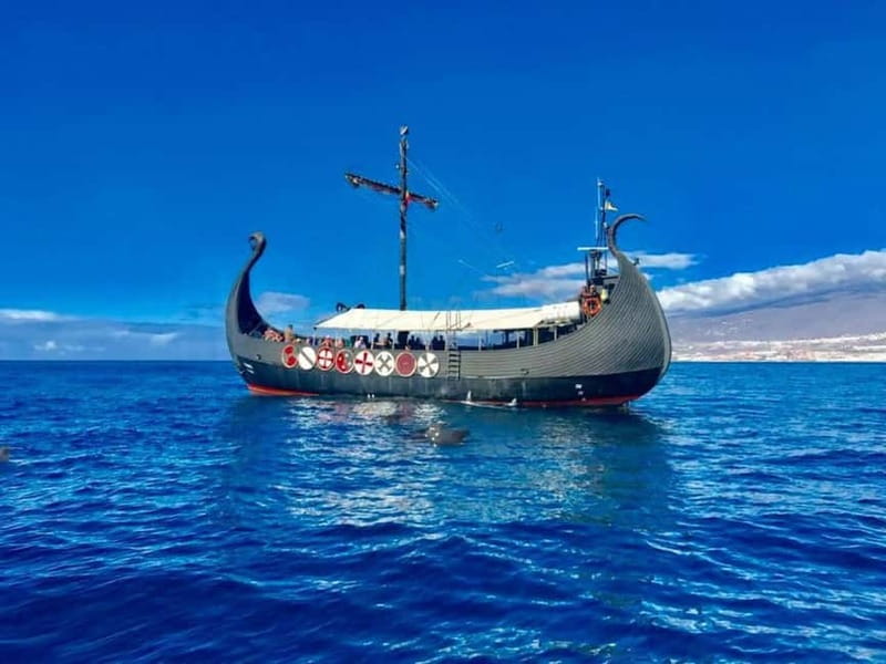 Los Cristianos: Whale Watching Cruise w/Swim Stop & Drinks - Looking for whales and dolphins between Tenerife and La Gomera