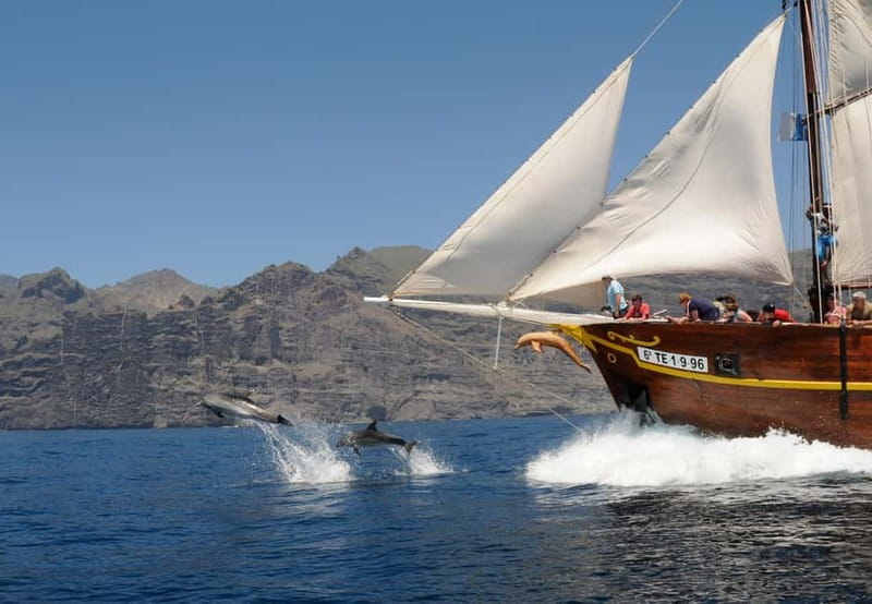 Los Gigantes: Dolphin and Whale Watching Tour with Drinks - Setting out from Los Gigantes Harbor