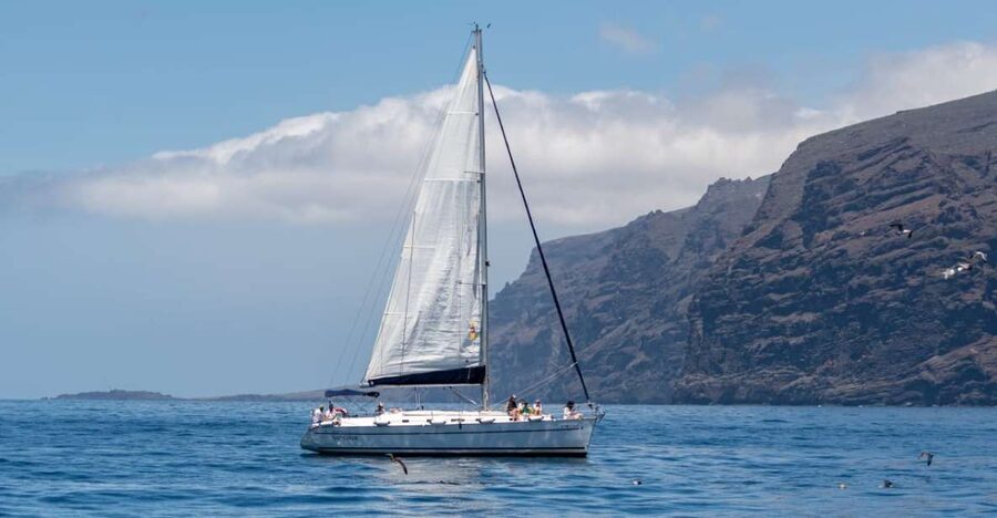Los Gigantes: Sailing Excursion with Swimming, Drink & Tapas - Why Los Gigantes works so well from the water