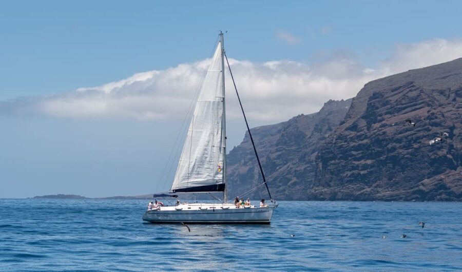 Los Gigantes: Sailing Excursion with Swimming, Drink & Tapas - Leaving Puerto de Los Gigantes