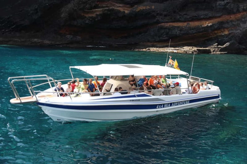 Los Gigantes: Whale or dolphin watching and swimming tour in Masca - Searching for Dolphins and Pilot Whales