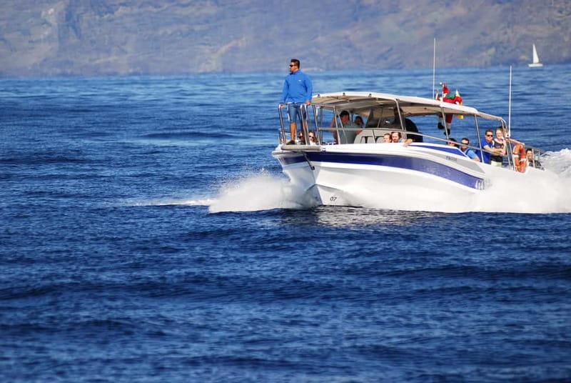 Los Gigantes: Whale or dolphin watching and swimming tour in Masca - Swimming Beneath the Masca Cliffs
