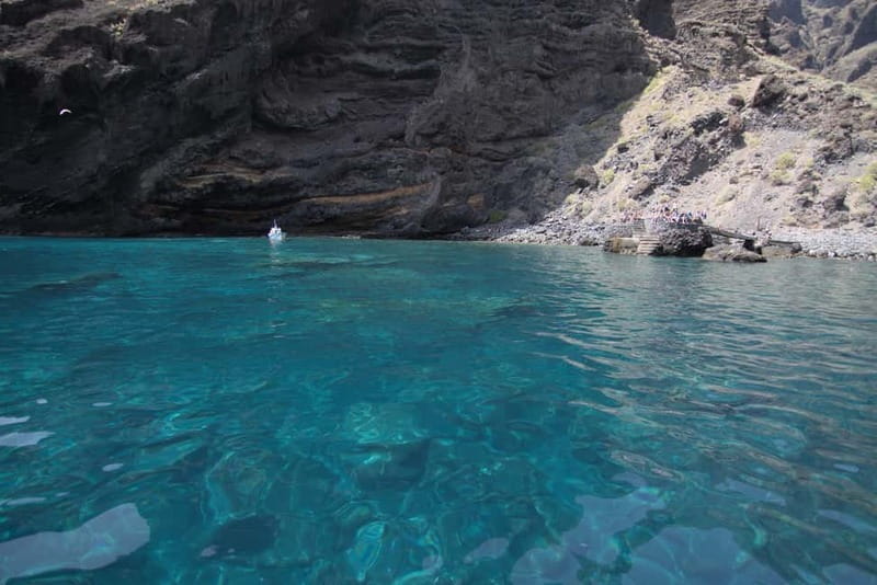 Los Gigantes: Whale or dolphin watching and swimming tour in Masca - Booking Details and Useful Preparation