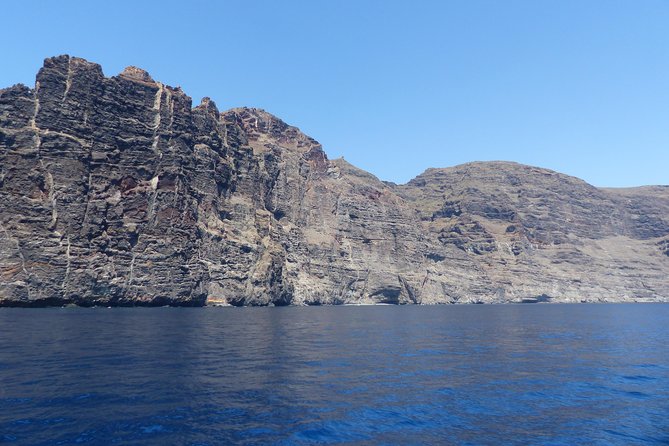 Los Gigantes Whale Watching Charter by Sail Boat - Meeting point and practical timing