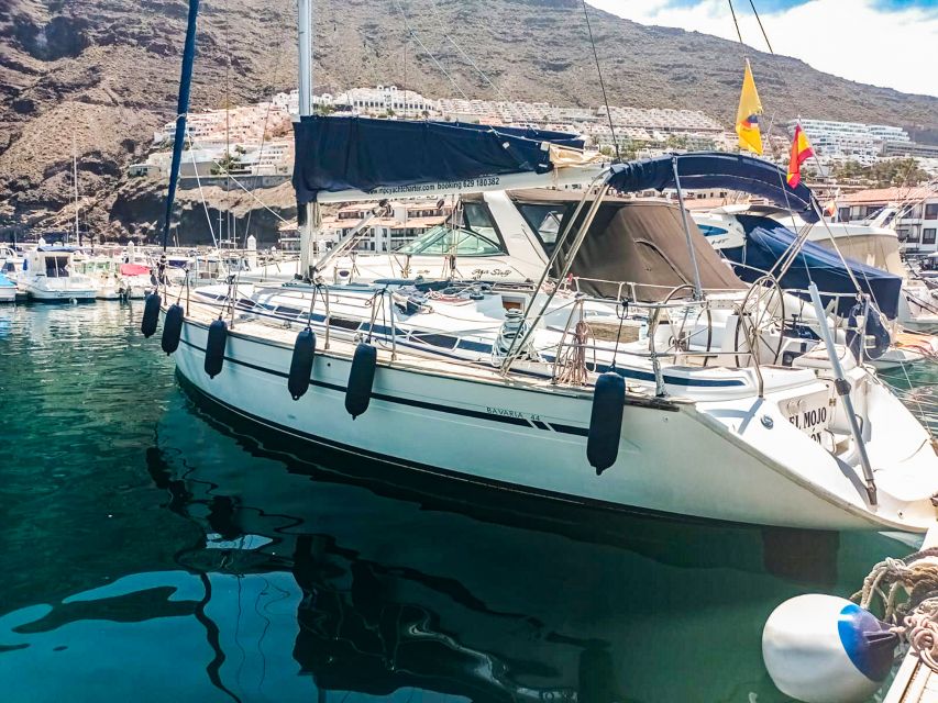 Los Gigantes: Whales and Dolphin Watching Cruise with Lunch - Swimming and snorkeling beneath the cliffs