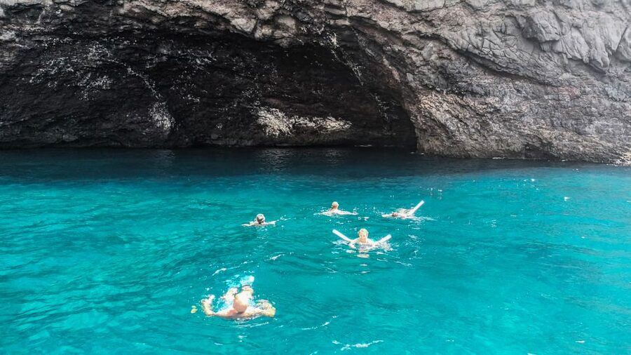 Los Gigantes: Whales and Dolphin Watching Cruise with Lunch - Cold tapas, fruit, and drinks on the way back