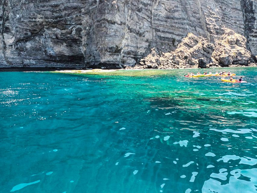 Los Gigantes: Whales and Dolphin Watching Cruise with Lunch - Who will enjoy this cruise most?