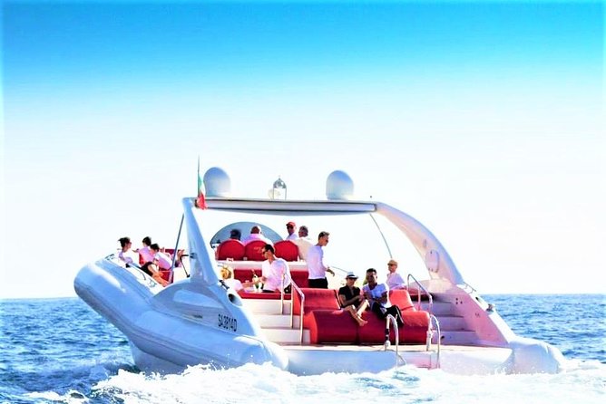 Luxury Opera 60 Whale & Dolphin Watching Experience - At a glance
