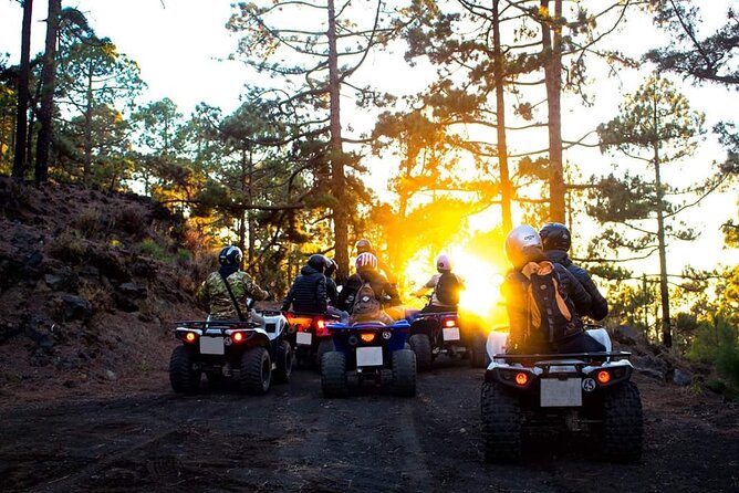 Masca Valley Guided Buggy Tour. Small Group. - Is $235.40 a fair price?