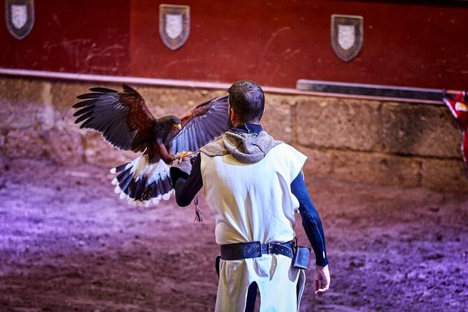 Medieval Castle with dinner from Puerto de la Cruz in TenerifeSur - Who will enjoy this castle night most