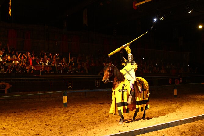 Medieval San Miguel castle with dinner-Show in South Tenerife - Jousting, falcons, fire, and skilled riders