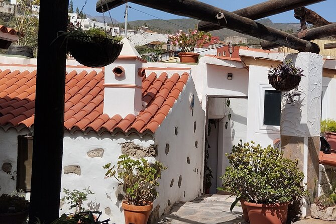 Mojo Cooking Class in an Ancient Canarian Village - Cooking mojos in the village of Chirche