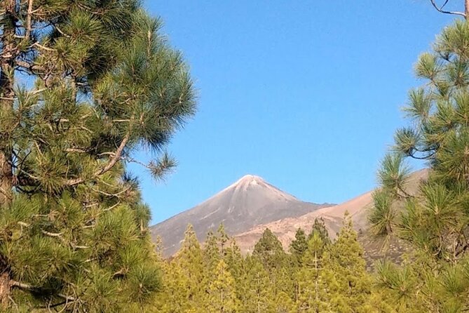 Monster Quad Teide Tour - Morning, afternoon, or sunset?