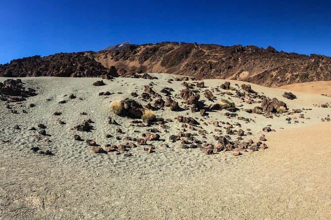 Mount Teide and Tenerife North with Food & Wine Tasting Private Tour - From coastal Tenerife to the slopes of Teide
