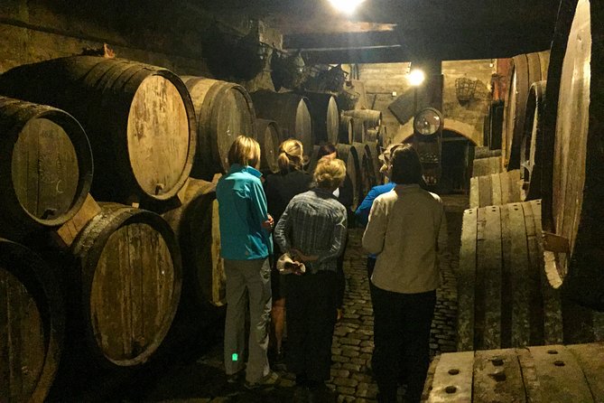 Mount Teide and Tenerife North with Food & Wine Tasting Private Tour - How the private format changes the experience
