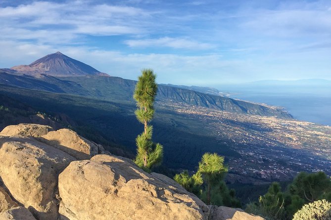 Mount Teide and Tenerife North with Food & Wine Tasting Private Tour - What makes guide Jamie Muñoz important