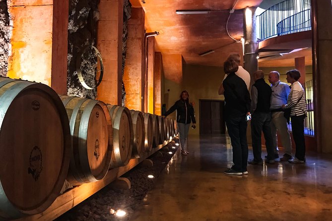 Mount Teide and Tenerife North with Food & Wine Tasting Private Tour - Who should book this day