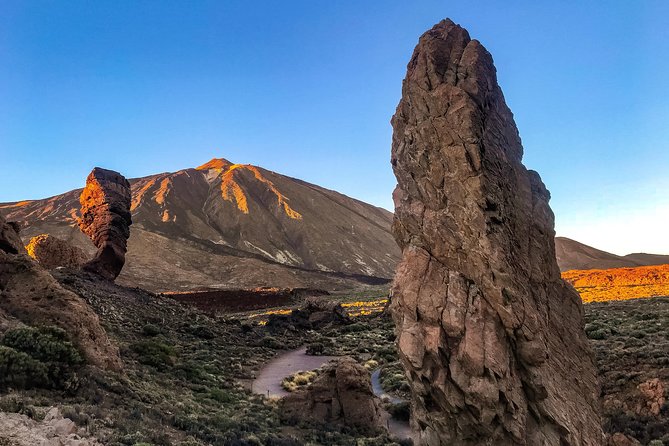 Mount Teide and Teno Country Park Private Tour - Corona Forestal: pine air at 1,000 meters