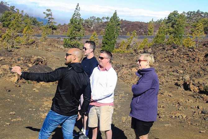 Mount Teide and Teno Country Park Private Tour - A private Mercedes EQV changes the pace