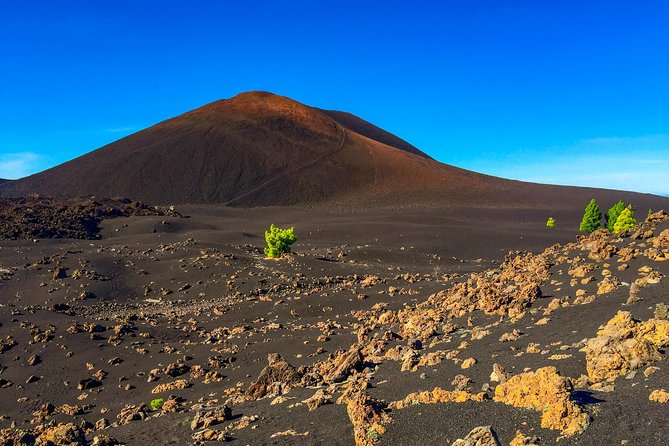 Mount Teide and Teno Country Park Private Tour - Who should book this experience